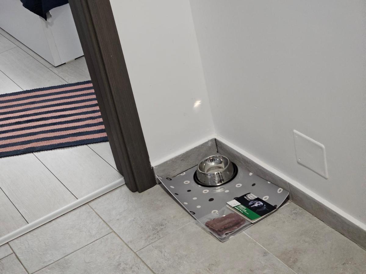 Apartment Summer Crib Mamaia-sat Navodari